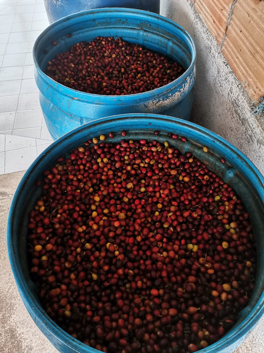 Colombia Las Esmeraldas